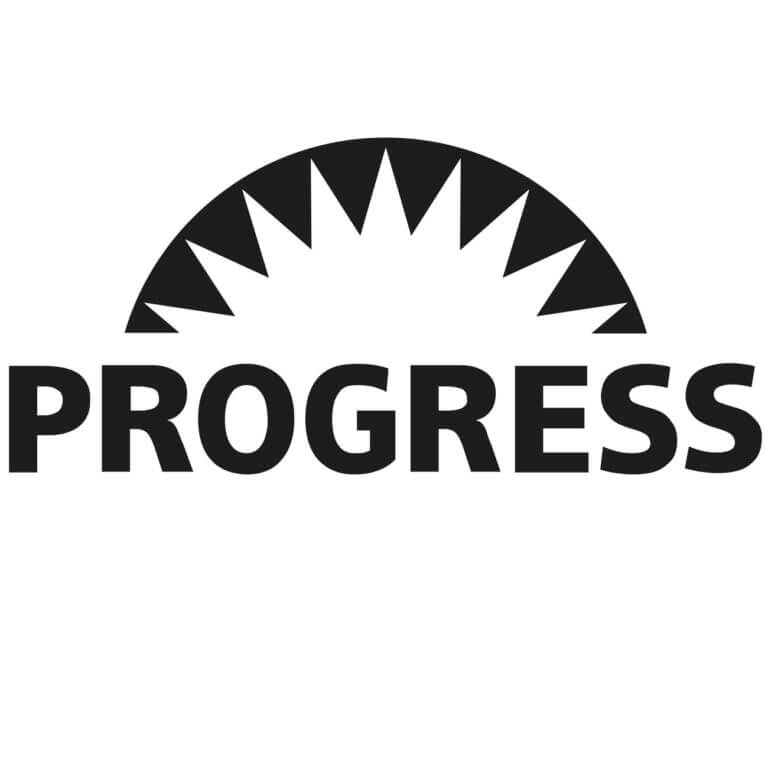 werkskundendienst-progress-768x768